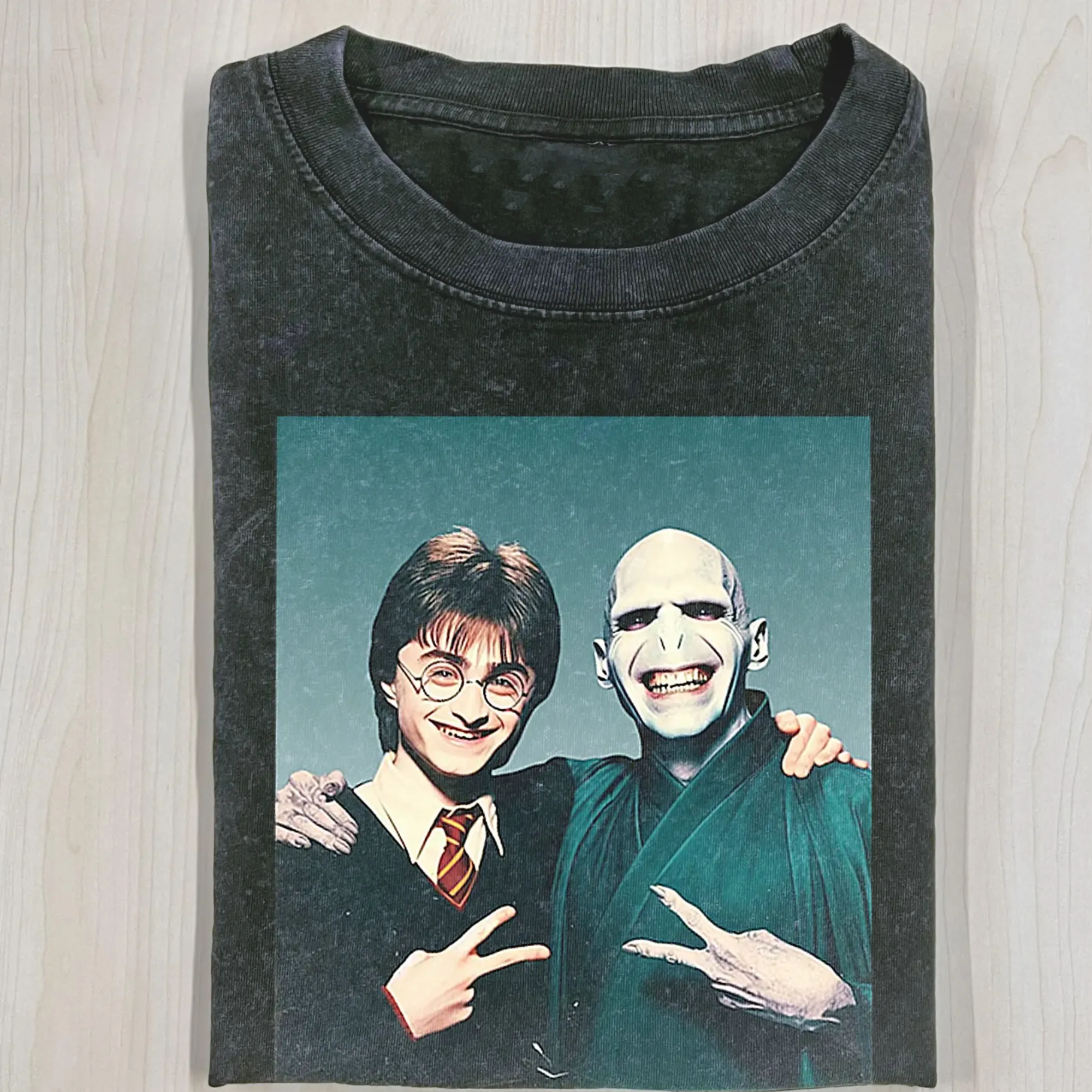 Harry And Voldemort Selfie T-Shirt
