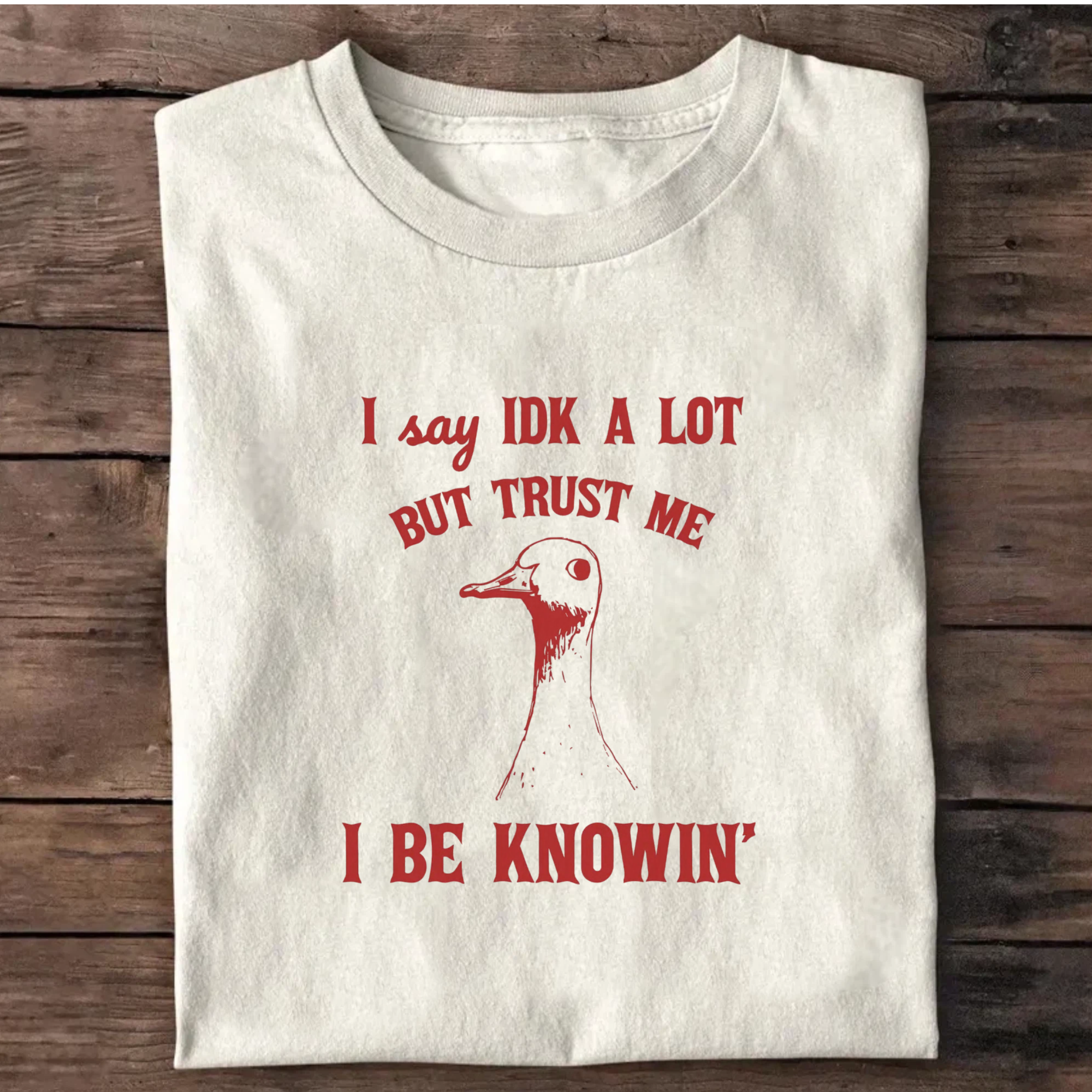 Funny Sarcastic Goose Sayings T-Shirt