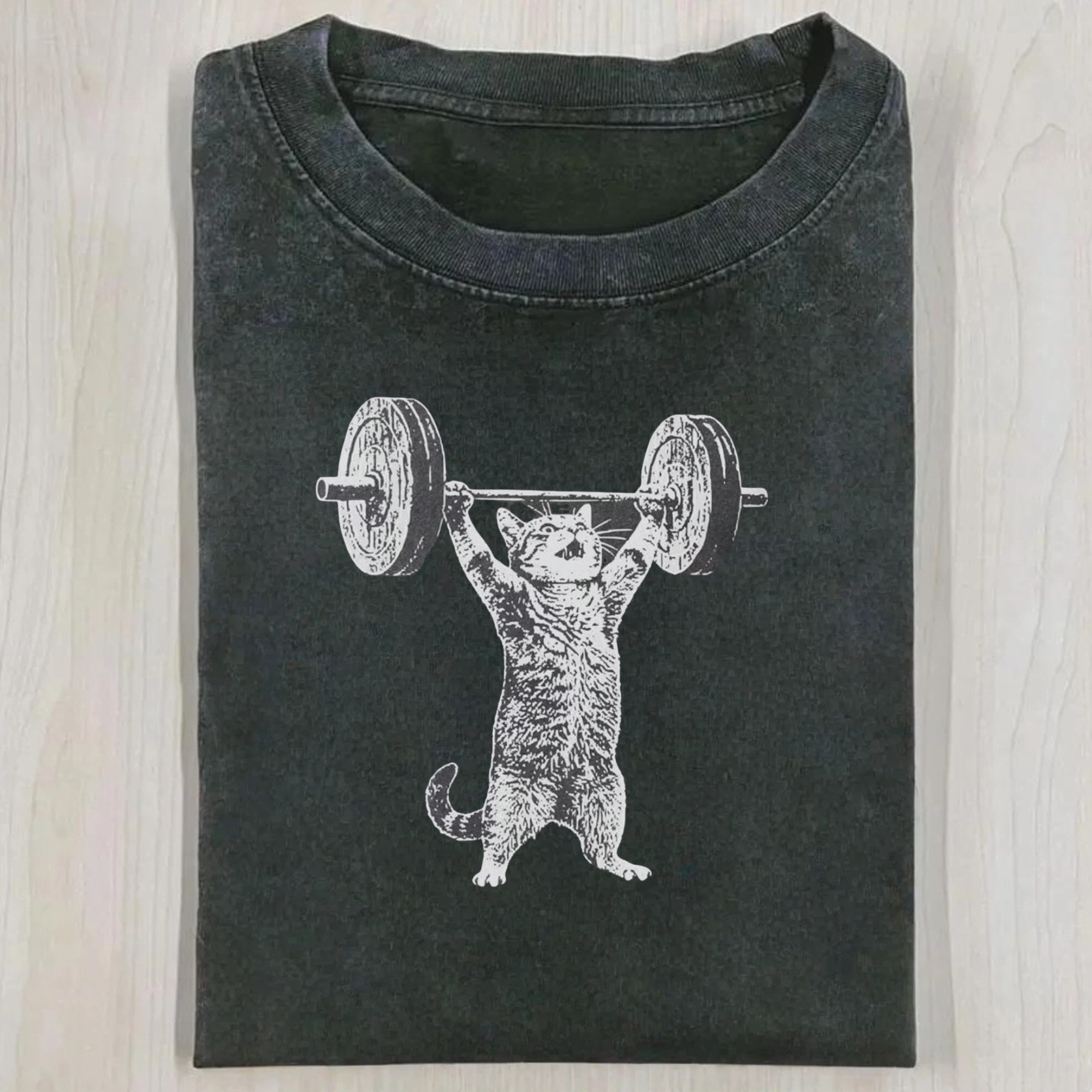 Funny Cat Gym T-Shirt