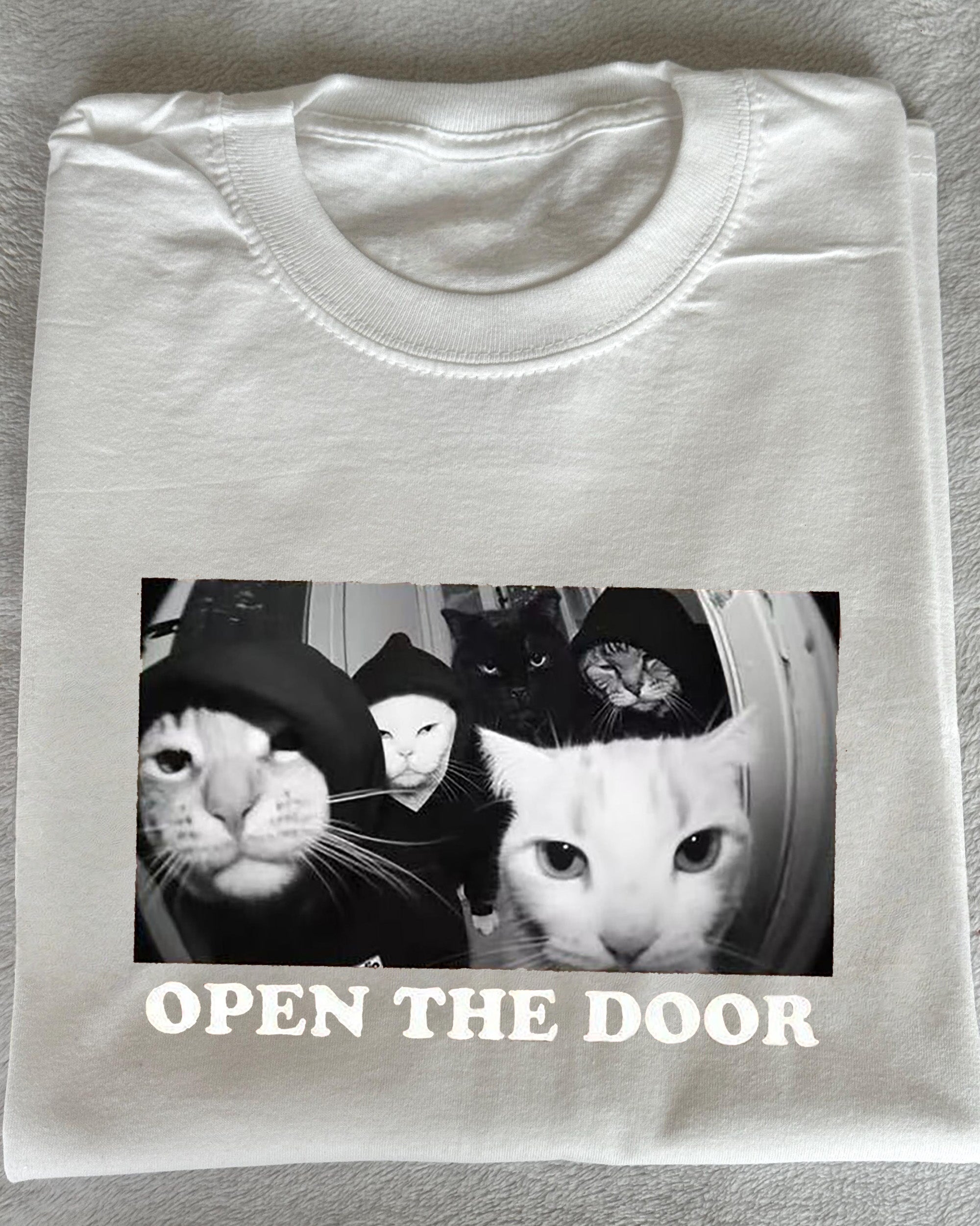 Satire cat meme T-Shirt